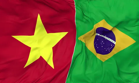 Việt Nam so tài với Brazil ở trận cầu đặc biệt, quy tụ nhiều danh thủ